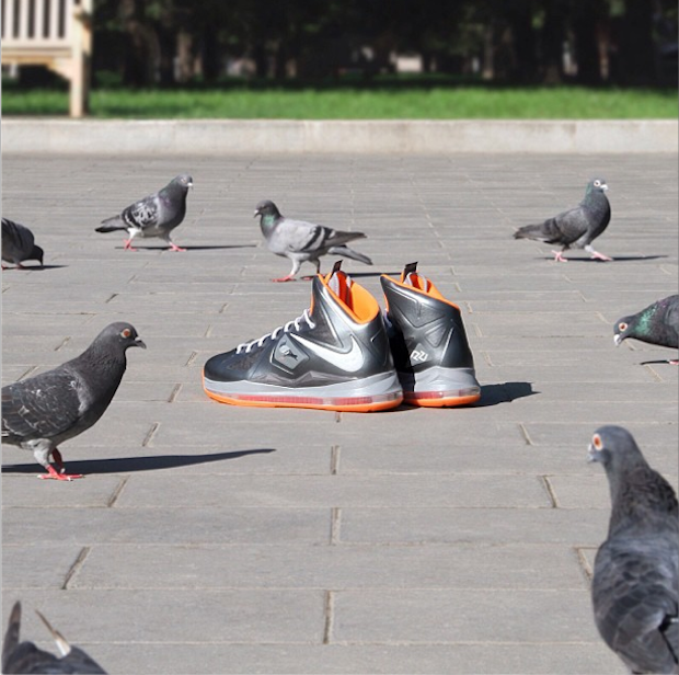 zhijun-wang-staple-pigeon-Nike-Lebron-X-customs-6