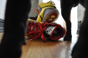 lebron 8 bruce lee